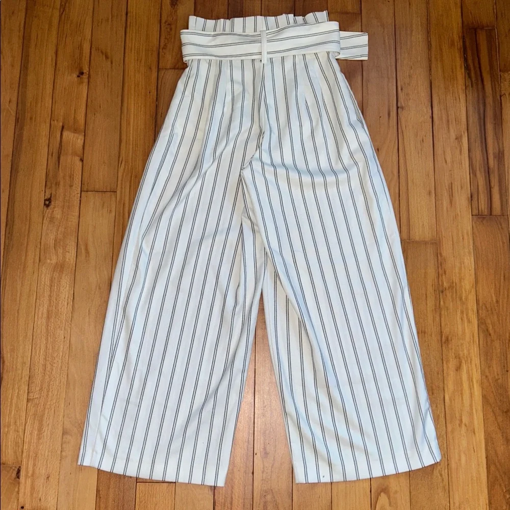 Free People Paperbag High Waisted Pinstripe Wide Leg Crop Pants